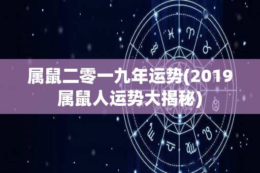 属鼠二零一九年运势(2019属鼠人运势大揭秘)