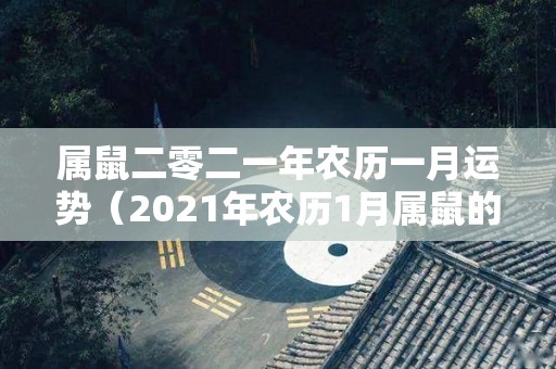 属鼠二零二一年农历一月运势（2021年农历1月属鼠的财运）