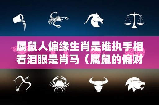 属鼠人偏缘生肖是谁执手相看泪眼是肖马（属鼠的偏财运怎么样）