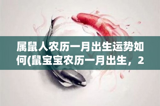 属鼠人农历一月出生运势如何(鼠宝宝农历一月出生，2022年运程如何？)