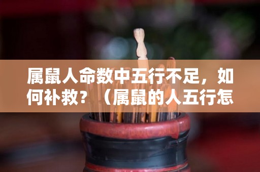 属鼠人命数中五行不足，如何补救？（属鼠的人五行怎么看）