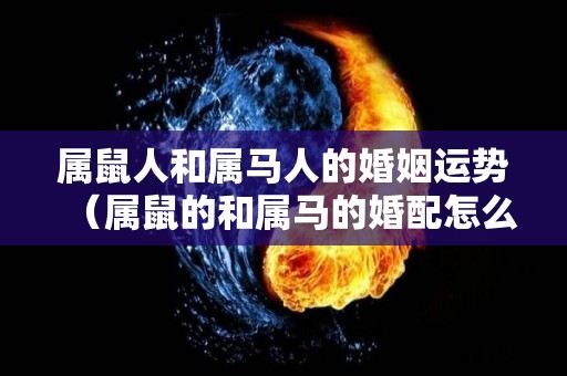 属鼠人和属马人的婚姻运势（属鼠的和属马的婚配怎么样）