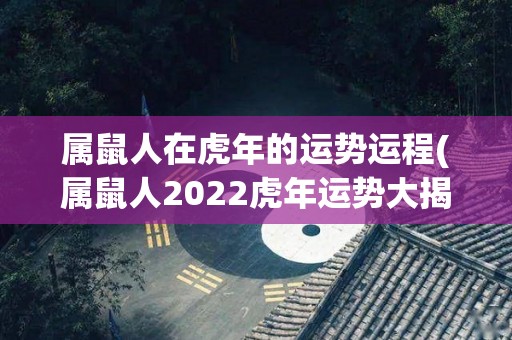 属鼠人在虎年的运势运程(属鼠人2022虎年运势大揭秘)