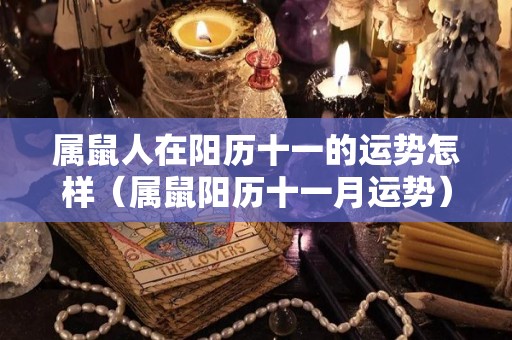 属鼠人在阳历十一的运势怎样（属鼠阳历十一月运势）