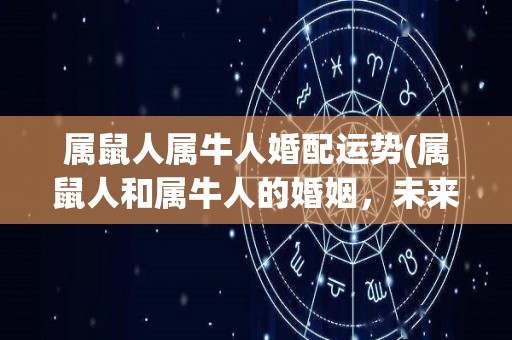 属鼠人属牛人婚配运势(属鼠人和属牛人的婚姻，未来运势如何？)