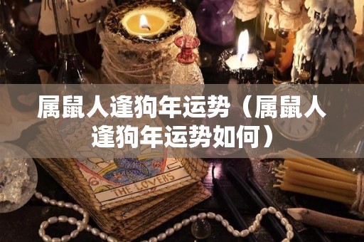 属鼠人逢狗年运势（属鼠人逢狗年运势如何）