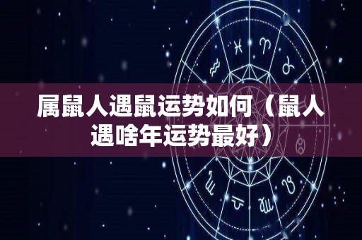 属鼠人遇鼠运势如何（鼠人遇啥年运势最好）