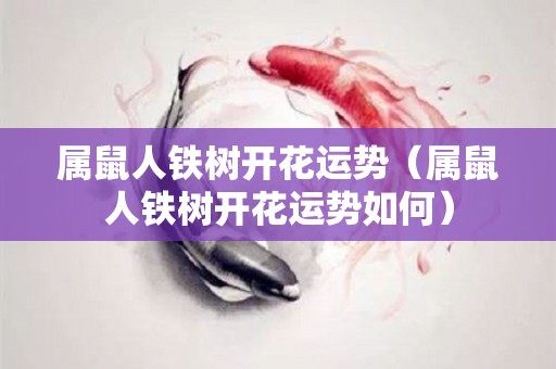 属鼠人铁树开花运势（属鼠人铁树开花运势如何）