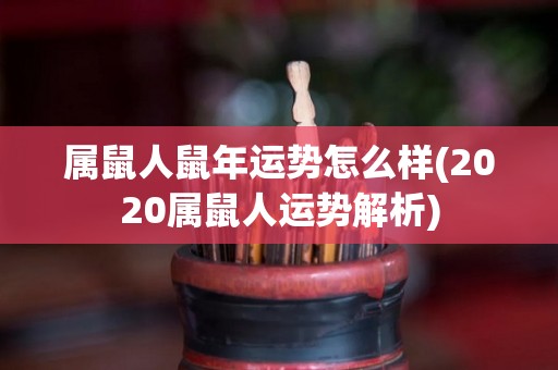 属鼠人鼠年运势怎么样(2020属鼠人运势解析)