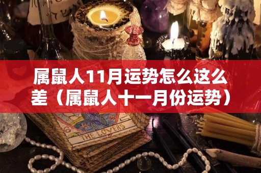 属鼠人11月运势怎么这么差（属鼠人十一月份运势）