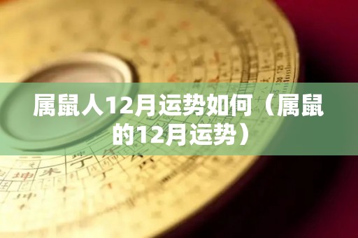 属鼠人12月运势如何（属鼠的12月运势）