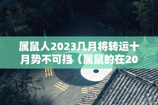 属鼠人2023几月将转运十月势不可挡（属鼠的在2023年是什么运势）