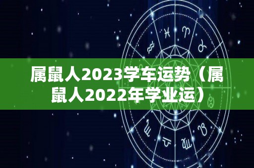 属鼠人2023学车运势（属鼠人2022年学业运）