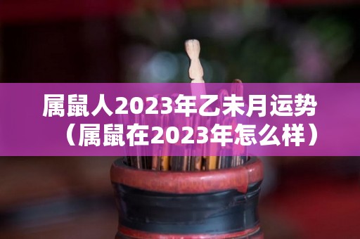 属鼠人2023年乙未月运势（属鼠在2023年怎么样）