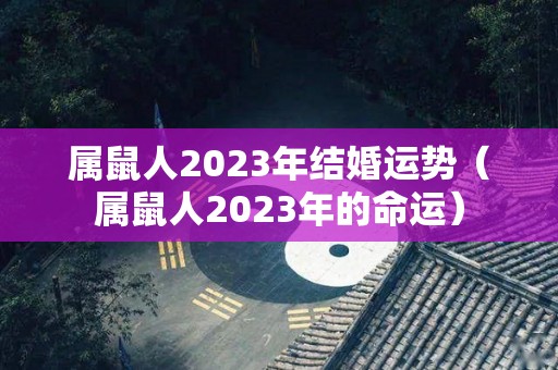 属鼠人2023年结婚运势（属鼠人2023年的命运）