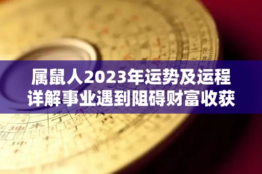 属鼠人2023年运势及运程详解事业遇到阻碍财富收获满满（属鼠2023年运势及运程2022年属鼠人的全年每月运势）