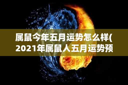 属鼠今年五月运势怎么样(2021年属鼠人五月运势预测)