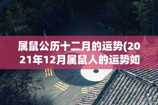 属鼠公历十二月的运势(2021年12月属鼠人的运势如何？)