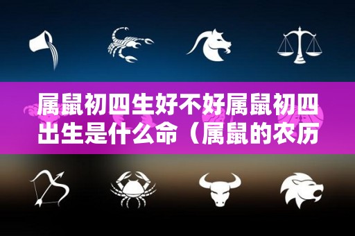 属鼠初四生好不好属鼠初四出生是什么命（属鼠的农历初几出生最好）