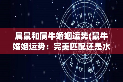 属鼠和属牛婚姻运势(鼠牛婚姻运势：完美匹配还是水火不容？)