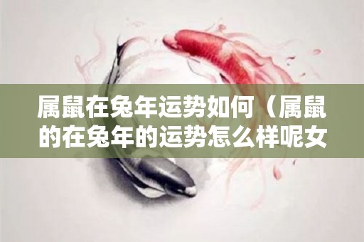 属鼠在兔年运势如何（属鼠的在兔年的运势怎么样呢女）