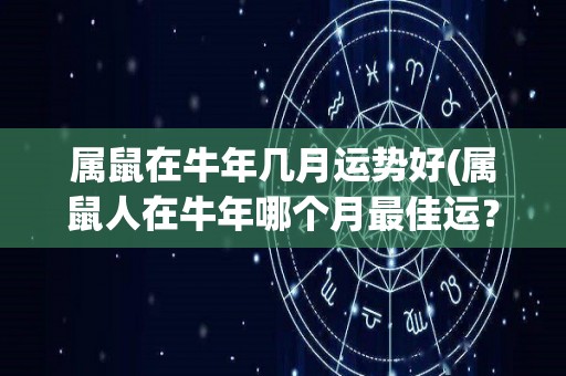 属鼠在牛年几月运势好(属鼠人在牛年哪个月最佳运？)