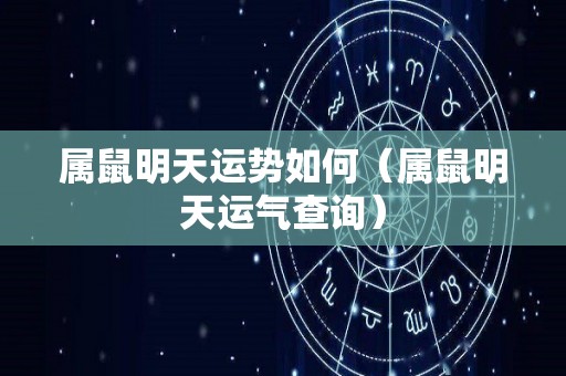属鼠明天运势如何（属鼠明天运气查询）