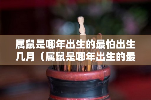 属鼠是哪年出生的最怕出生几月（属鼠是哪年出生的最好）