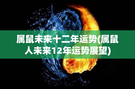 属鼠未来十二年运势(属鼠人未来12年运势展望)