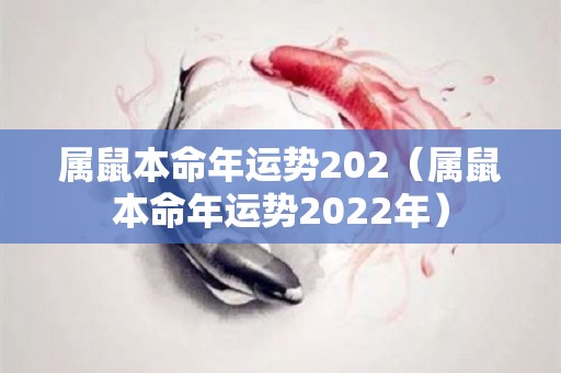 属鼠本命年运势202（属鼠本命年运势2022年）