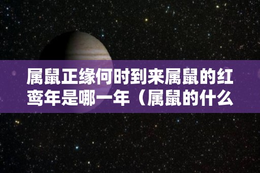 属鼠正缘何时到来属鼠的红鸾年是哪一年（属鼠的什么时候红鸾星动）