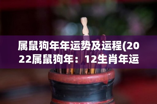 属鼠狗年年运势及运程(2022属鼠狗年：12生肖年运势大盘点！)