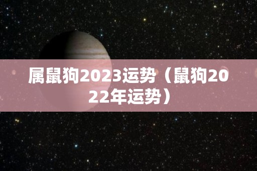 属鼠狗2023运势（鼠狗2022年运势）