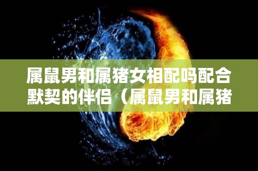 属鼠男和属猪女相配吗配合默契的伴侣（属鼠男和属猪女配对指数）
