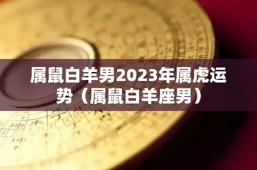 属鼠白羊男2023年属虎运势（属鼠白羊座男）