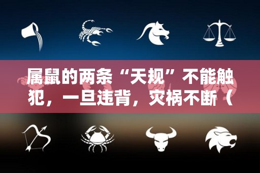 属鼠的两条“天规”不能触犯，一旦违背，灾祸不断（属相属鼠的人）