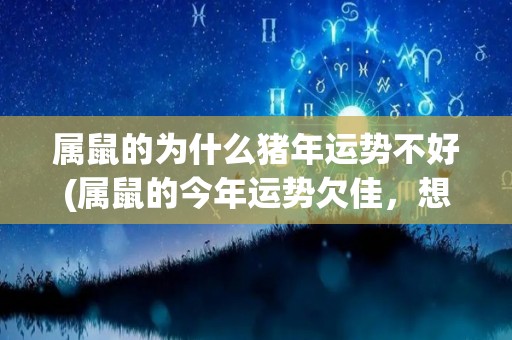 属鼠的为什么猪年运势不好(属鼠的今年运势欠佳，想知道原因？)