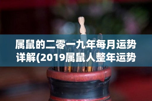 属鼠的二零一九年每月运势详解(2019属鼠人整年运势详解)