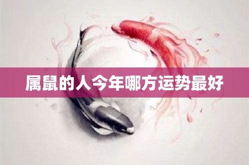 属鼠的人今年哪方运势最好
