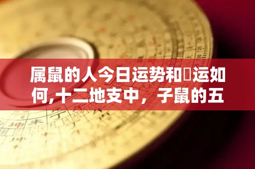 属鼠的人今日运势和財运如何,十二地支中，子鼠的五行缺什么？