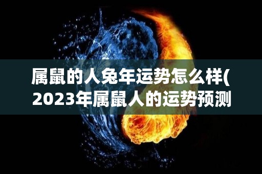 属鼠的人兔年运势怎么样(2023年属鼠人的运势预测)