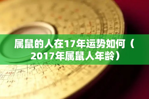 属鼠的人在17年运势如何（2017年属鼠人年龄）