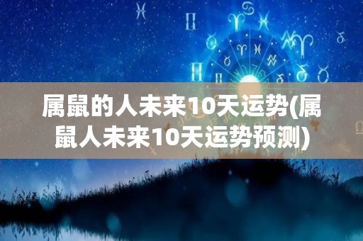 属鼠的人未来10天运势(属鼠人未来10天运势预测)