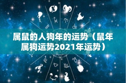属鼠的人狗年的运势（鼠年属狗运势2021年运势）