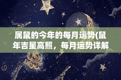 属鼠的今年的每月运势(鼠年吉星高照，每月运势详解！)