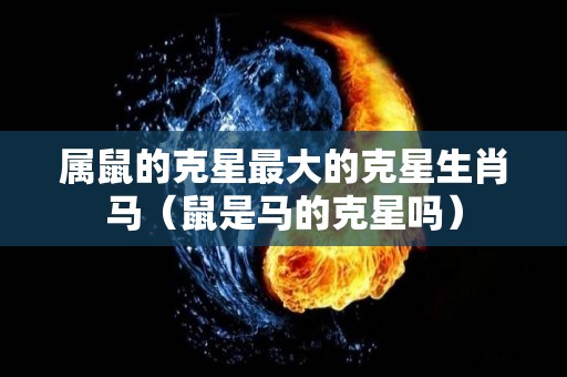 属鼠的克星最大的克星生肖马（鼠是马的克星吗）