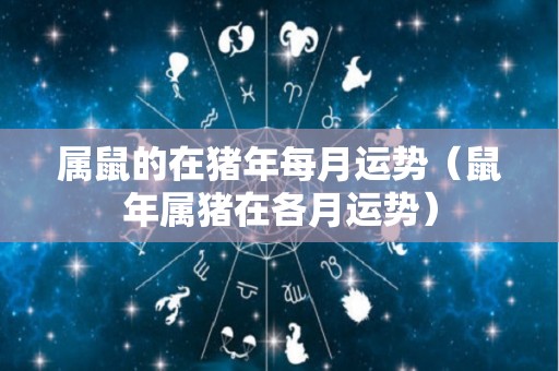 属鼠的在猪年每月运势（鼠年属猪在各月运势）
