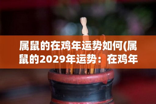 属鼠的在鸡年运势如何(属鼠的2029年运势：在鸡年将迎来事业上的顶峰)