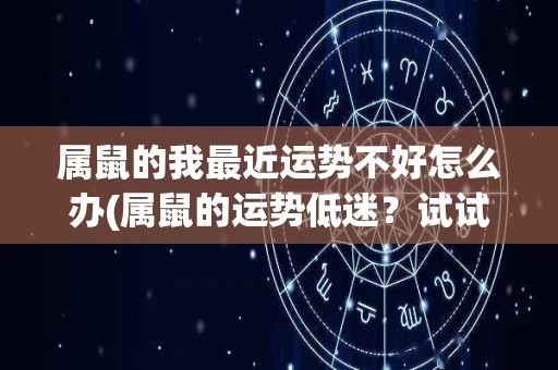 属鼠的我最近运势不好怎么办(属鼠的运势低迷？试试这些方法改变命运！)