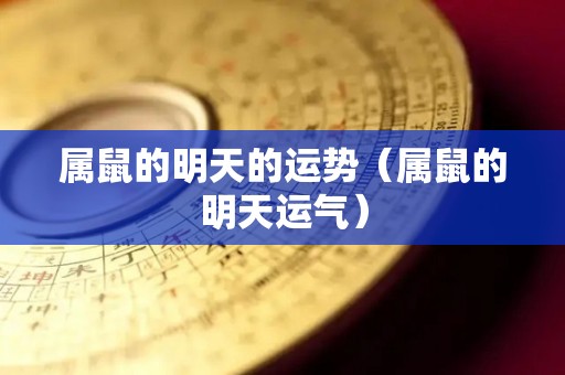 属鼠的明天的运势（属鼠的明天运气）